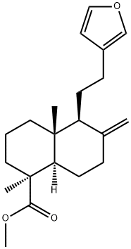 (1S,8aα)-5β-[2-(3-フラニル)エチル]デカヒドロ-1,4aβ-ジメチル-6-メチレン-1β-ナフタレンカルボン酸メチル 化学構造式