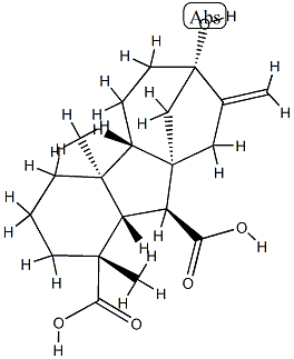 7-ヒドロキシ-1β,4aα-ジメチル-8-メチレンギバン-1α,10β-ジカルボン酸 化学構造式