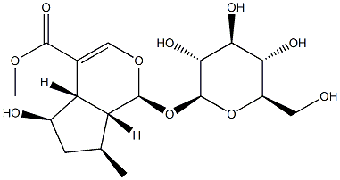 (1S)-1-(β-D-Glucopyranosyloxy)-1,4aα,5,6,7,7aα-hexahydro-5α-hydroxy-7α-methylcyclopenta[c]pyran-4-carboxylic acid methyl ester Struktur