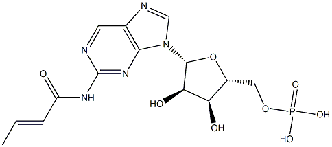 monobutyryl cyclic GMP Struktur
