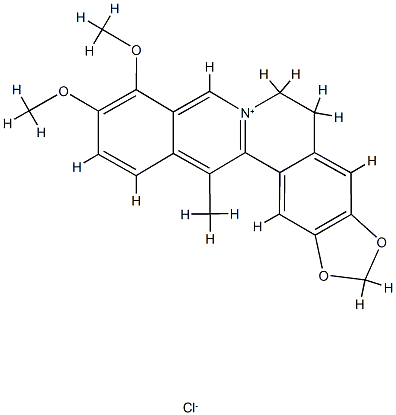 5,6-Dihydro-2,3-(methylenedioxy)-9,10-dimethoxy-13-methyldibenzo[a,g]quinolizinium Structure