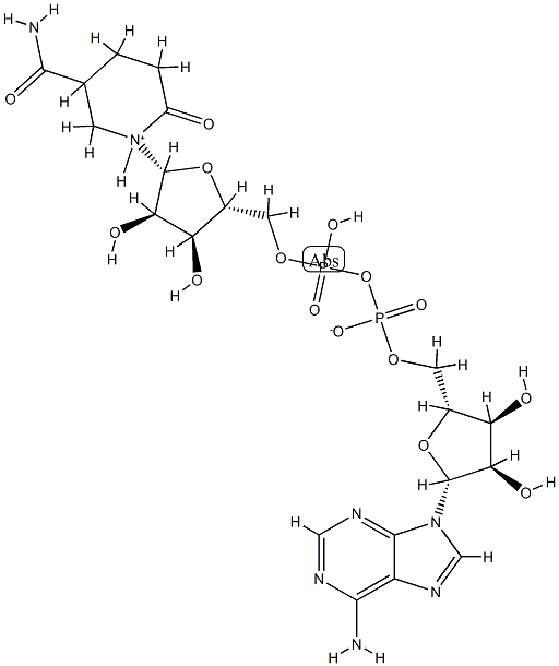 6-hydroxy-1,4,5,6-tetrahydronicotinamide adenine dinucleotide Struktur