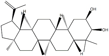 Lup-20(29)-ene-2α,3α-diol Struktur
