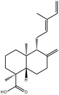 (1S,8aβ)-デカヒドロ-1,4aα-ジメチル-6-メチレン-5α-[(E)-3-メチルペンタ-2,4-ジエニル]-1-ナフタレンカルボン酸 化学構造式