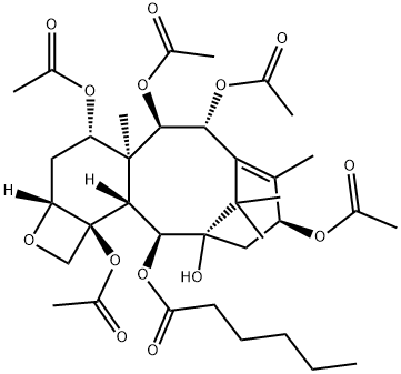 Baccatin VII Structure