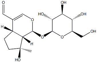 (1S)-1-(β-D-Glucopyranosyloxy)-1,4aα,5,6,7,7aα-hexahydro-7α-hydroxy-7-methylcyclopenta[c]pyran-4-carbaldehyde 结构式