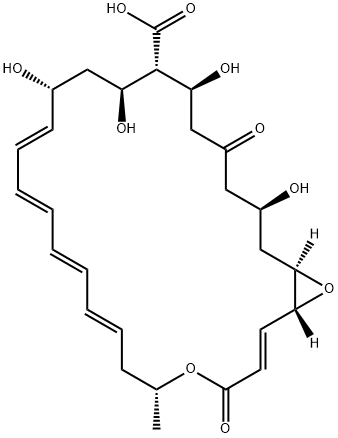 Natamycinolide Structure