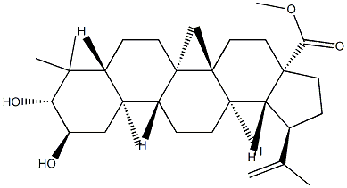 2α,3β-ジヒドロキシルパ-20(29)-エン-28-酸メチル 化学構造式