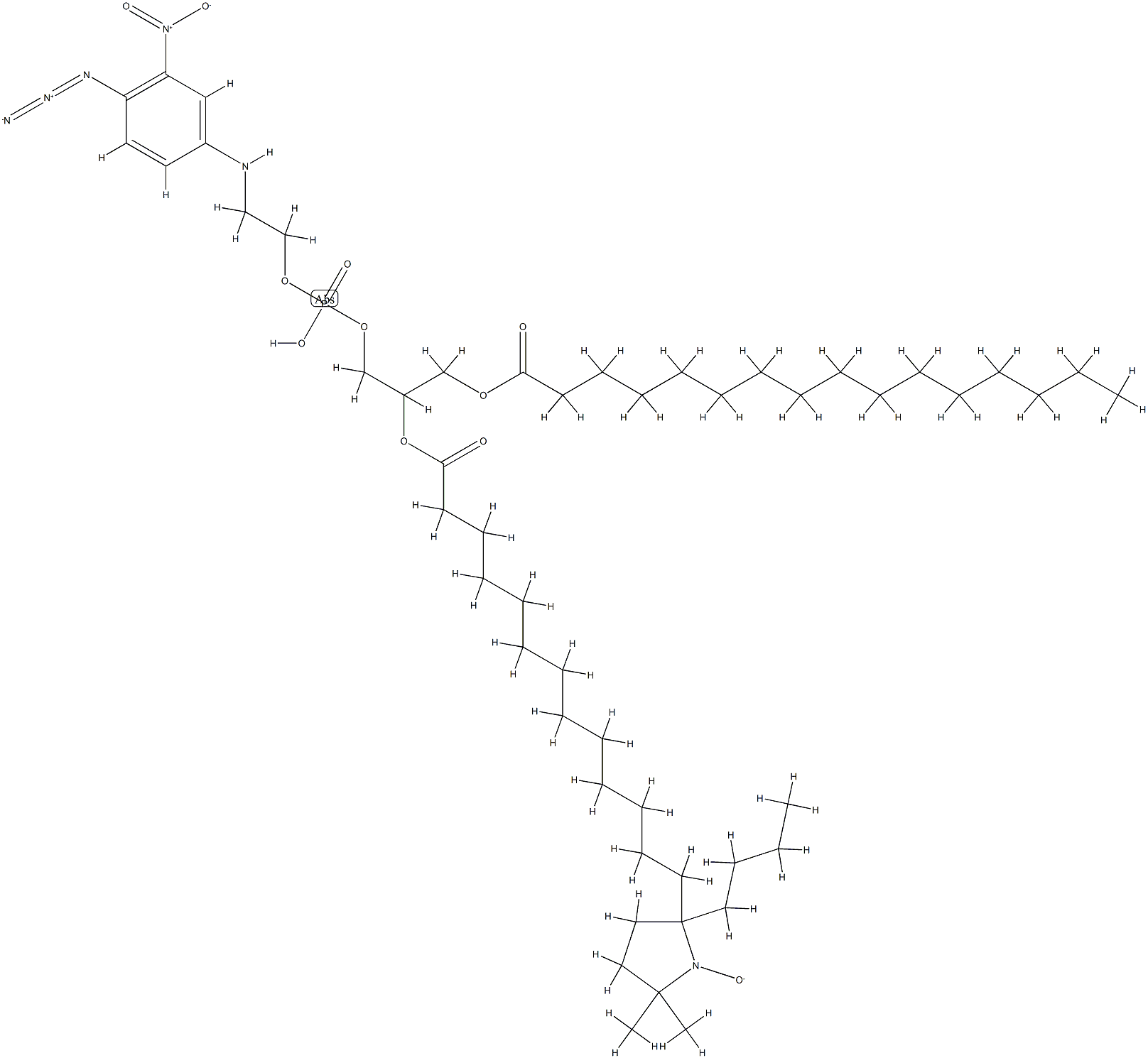 1-palmitoyl-2-(14-proxylstearoyl)glycero-3-phospho-N-(4-azido-3-nitrophenyl)ethanolamine Structure