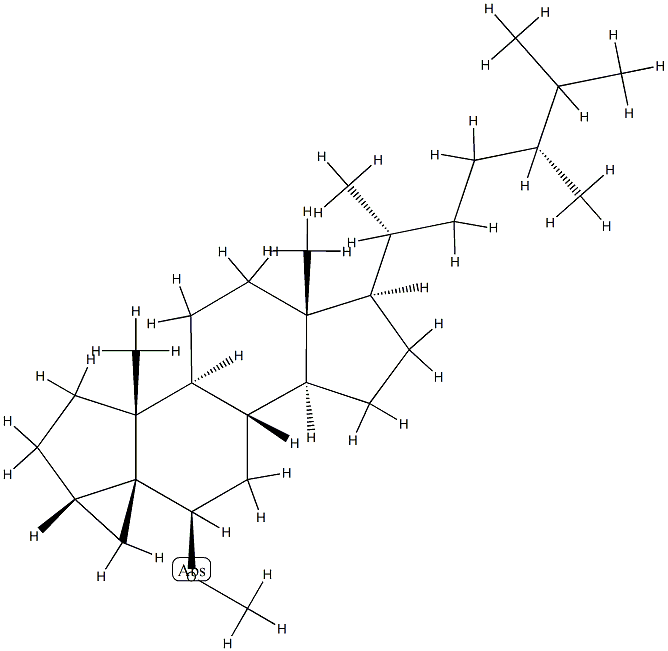 (3β,5α,6β,24R)-6-Methoxy-3,5-cycloergostane 结构式