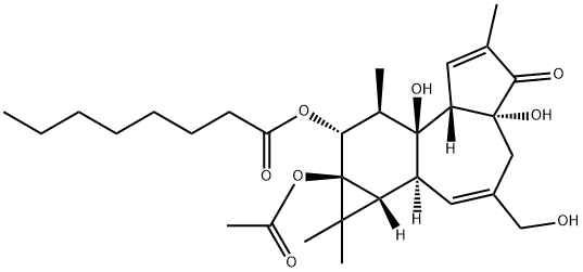 Octanoic acid, 9a-(acetyloxy)-1a,1b,4,4a,5,7a,7b,8,9,9a-decahydro-4a,7 b-dihydroxy-3-(hydroxymethyl)-1,1,6,8-tetramethyl-5-oxo-1H-cyclopropa( 3,4)benz(1,2-e)azulen-9-yl ester, (1aR-(1aalpha,1bbeta,4abeta,7aalpha, 7balpha,8alpha,9beta,9aalpha))- Structure