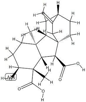 (1S,4bS,9aS)-ドデカヒドロ-2β-ヒドロキシ-1,4aα-ジメチル-7-メチレン-6α,8aα-エタノ-8aH-フルオレン-1,9β-ジカルボン酸 化学構造式