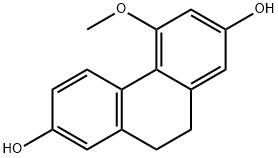 Coelonin Struktur