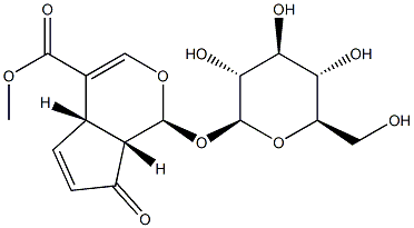 (1S)-1α-(β-D-Glucopyranosyloxy)-1,4aα,7,7aα-tetrahydro-7-oxocyclopenta[c]pyran-4-carboxylic acid methyl ester Struktur