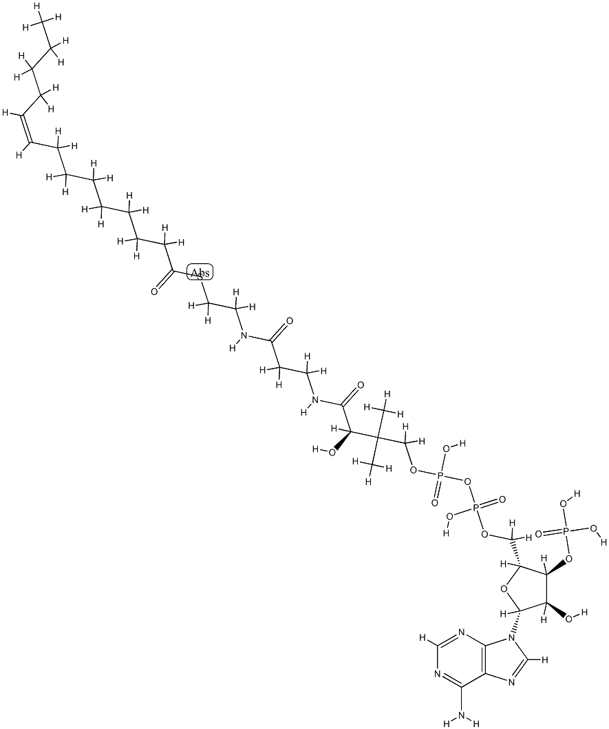 coenzyme A myristoleoyl derivative (C14:1), lithium salt Structure