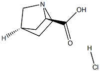 (1R,2R,4R)-REL-1-氮杂双环[2,2,1]庚烷-2-羧酸盐酸盐 结构式
