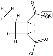 1,2-Cyclobutanedicarbonylchloride,3-methyl-(6CI) Structure