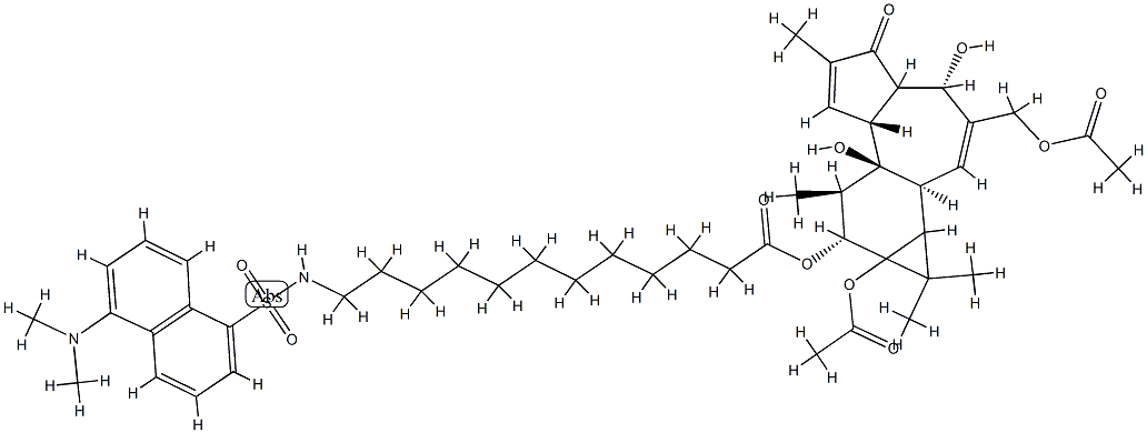 12-O-(12(N)-dansylaminododecanoyl)phorbol 12,20-diacetate 结构式