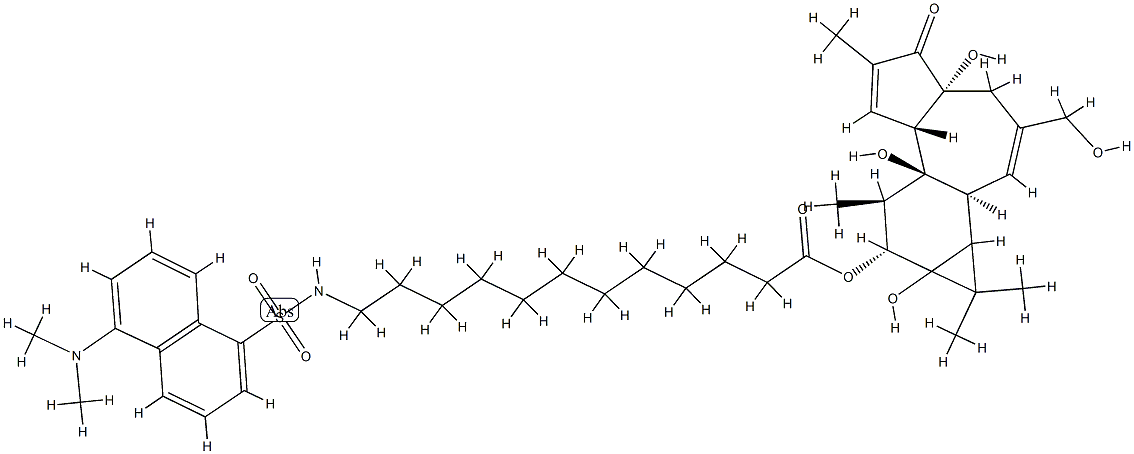 12-O-(12-N-dansylaminododecanoyl)phorbol 结构式