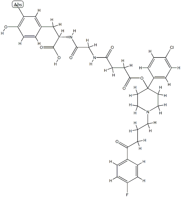 haloperidol-succinylglycyliodotyrosine|