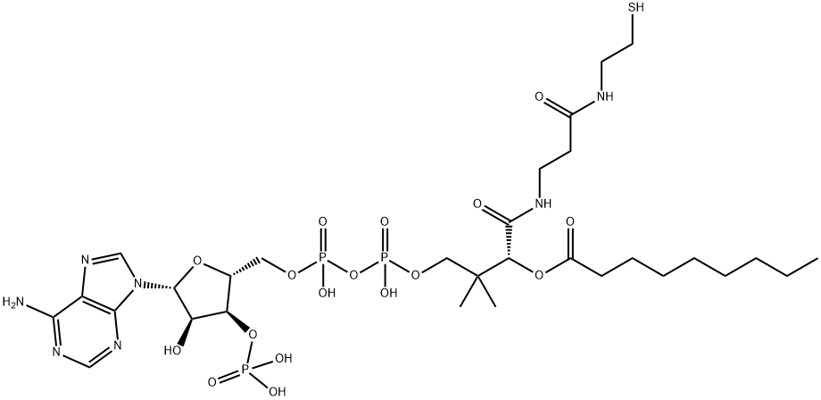 nonanoyl-coenzyme A 结构式