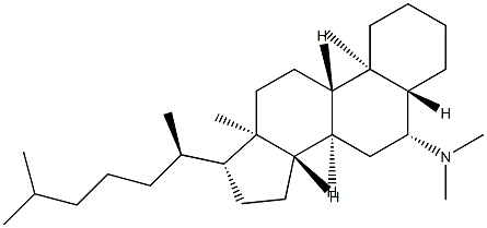 N,N-Dimethyl-5α-cholestan-6β-amine Struktur