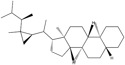 5α-Gorgostane Structure