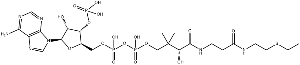 ethyl-coenzyme A Struktur