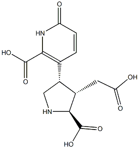 3-[(3S)-5β-カルボキシ-4α-カルボキシメチルピロリジン-3α-イル]-1,6-ジヒドロ-6-オキソピリジン-2-カルボン酸 化学構造式