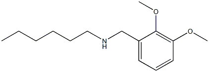 [(2,3-dimethoxyphenyl)methyl](hexyl)amine
