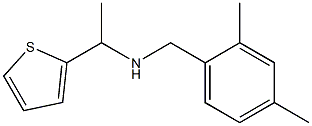 [(2,4-dimethylphenyl)methyl][1-(thiophen-2-yl)ethyl]amine