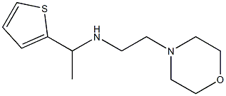 [2-(morpholin-4-yl)ethyl][1-(thiophen-2-yl)ethyl]amine