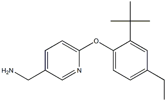 [6-(2-tert-butyl-4-ethylphenoxy)pyridin-3-yl]methanamine