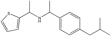 {1-[4-(2-methylpropyl)phenyl]ethyl}[1-(thiophen-2-yl)ethyl]amine