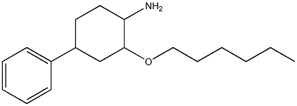2-(hexyloxy)-4-phenylcyclohexan-1-amine