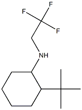 2-tert-butyl-N-(2,2,2-trifluoroethyl)cyclohexan-1-amine
