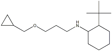 2-tert-butyl-N-[3-(cyclopropylmethoxy)propyl]cyclohexan-1-amine