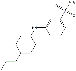 3-[(4-propylcyclohexyl)amino]benzene-1-sulfonamide