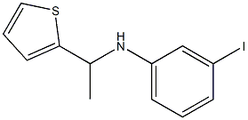 3-iodo-N-[1-(thiophen-2-yl)ethyl]aniline