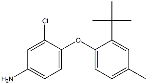 4-(2-tert-butyl-4-methylphenoxy)-3-chloroaniline Struktur