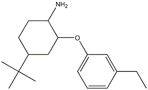 4-tert-butyl-2-(3-ethylphenoxy)cyclohexan-1-amine