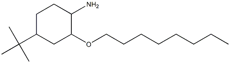 4-tert-butyl-2-(octyloxy)cyclohexan-1-amine