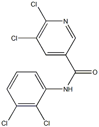 5,6-dichloro-N-(2,3-dichlorophenyl)pyridine-3-carboxamide