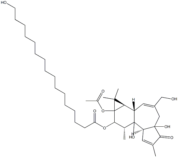 13-アセトキシ-12-(ヘキサデカノイルオキシ)-4,9,16,20-テトラヒドロキシ-1,6-チグリアジエン-3-オン 化学構造式