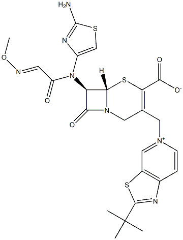 (7R)-7-[(2-アミノ-4-チアゾリル)(メトキシイミノ)アセチルアミノ]-3-[[(2-tert-ブチルチアゾロ[5,4-c]ピリジン-5-イウム)-5-イル]メチル]セファム-3-エン-4-カルボン酸 化学構造式