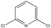 2,6-Dichlouopyridine