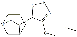 6-(3-propylthio-1,2,5-thiadiazol-4-yl)-1-azabicyclo(3.2.1)octane