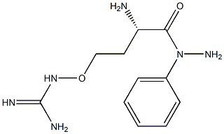 canavanine phenylhydrazide