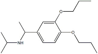 [1-(3,4-dipropoxyphenyl)ethyl](propan-2-yl)amine|