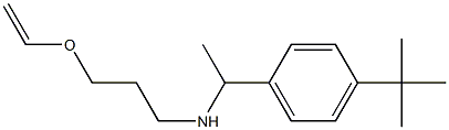 [1-(4-tert-butylphenyl)ethyl][3-(ethenyloxy)propyl]amine